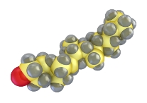 cholesterol molecule