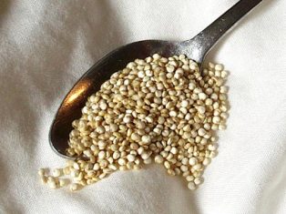 quinoa is a high protein, gluten-free grain